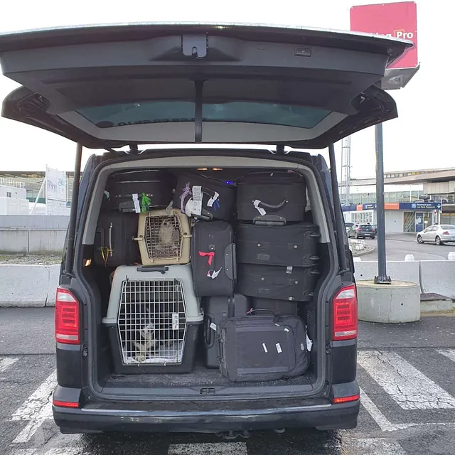 transport d'animaux