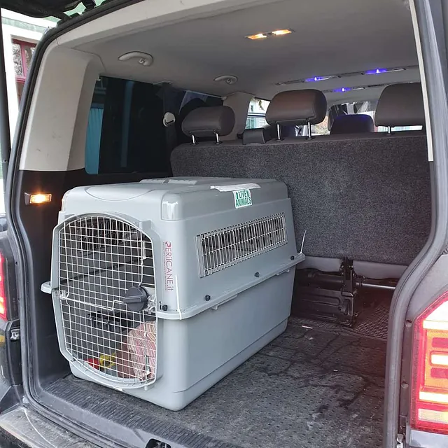 transport de cage
