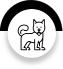 icône chien